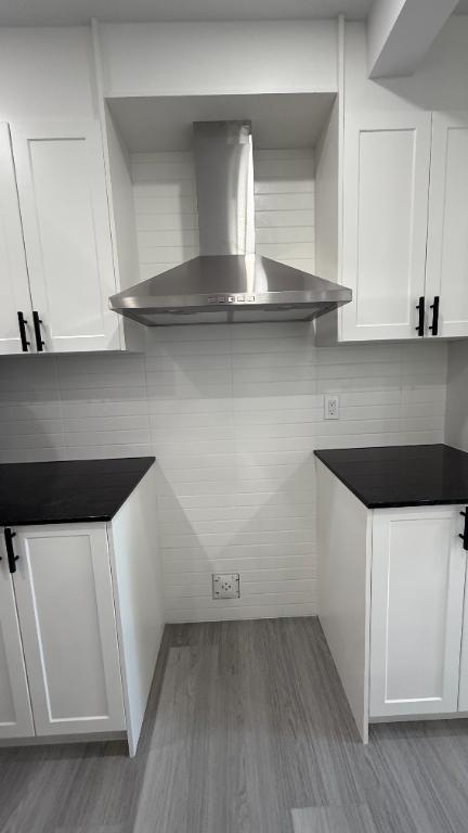 Magnifique condo 4 ½ entièrement rénové – 1050 pi² | 3091734