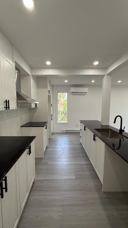 Magnifique condo 4 ½ entièrement rénové – 1050 pi² | 3091734