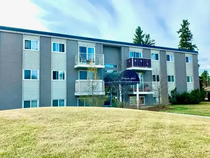 Renovated 1 Bedroom Suite Available! | 9560 163 Street Northwest, Edmonton | 3092519
