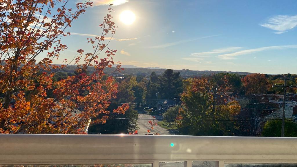 Appartement à louer Sherbrooke 4 1/2 près du Cégep | 3093390