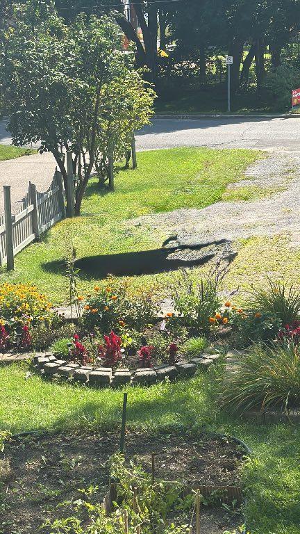 3 1/2 vieux Cap rouge - dispo fin novembre | 3176157