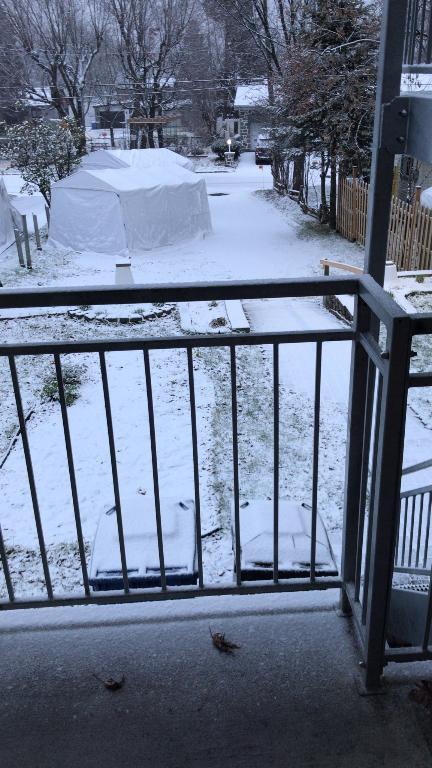 3 1/2 vieux Cap rouge - dispo fin novembre | 3176157