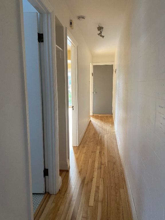 À LOUER – 3 ½ ROSEMONT / PETITE-PATRIE | 3093395