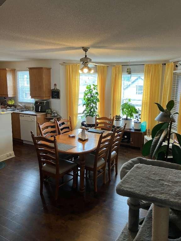 Beau 5½, grande cour pour 4 voitures, immense locker, solarium. À Ste-Madeleine, Libre 1er décembre | 3093799