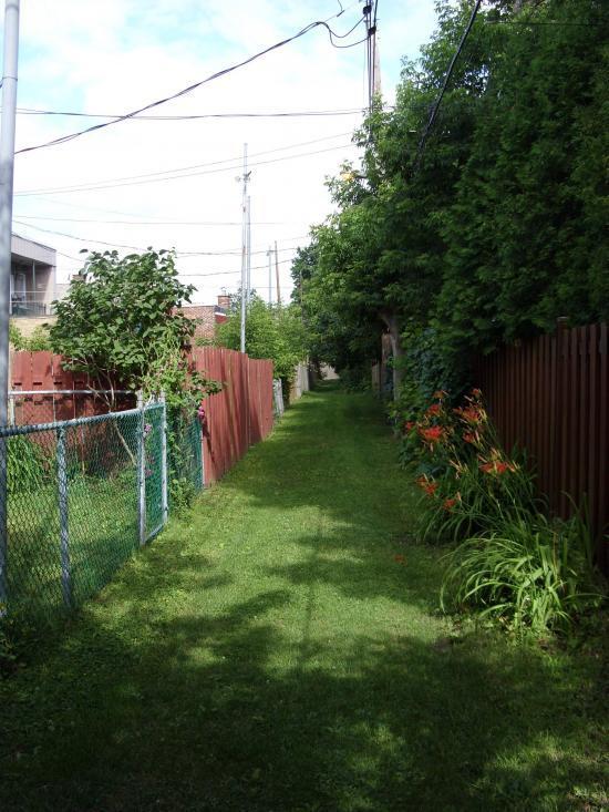 CHARMANT 4 ½, COUR PRIVÉ VERDOYANTE, ROSEMONT, MÉTRO, ANIMAUX ACCEPTÉS | 3093810