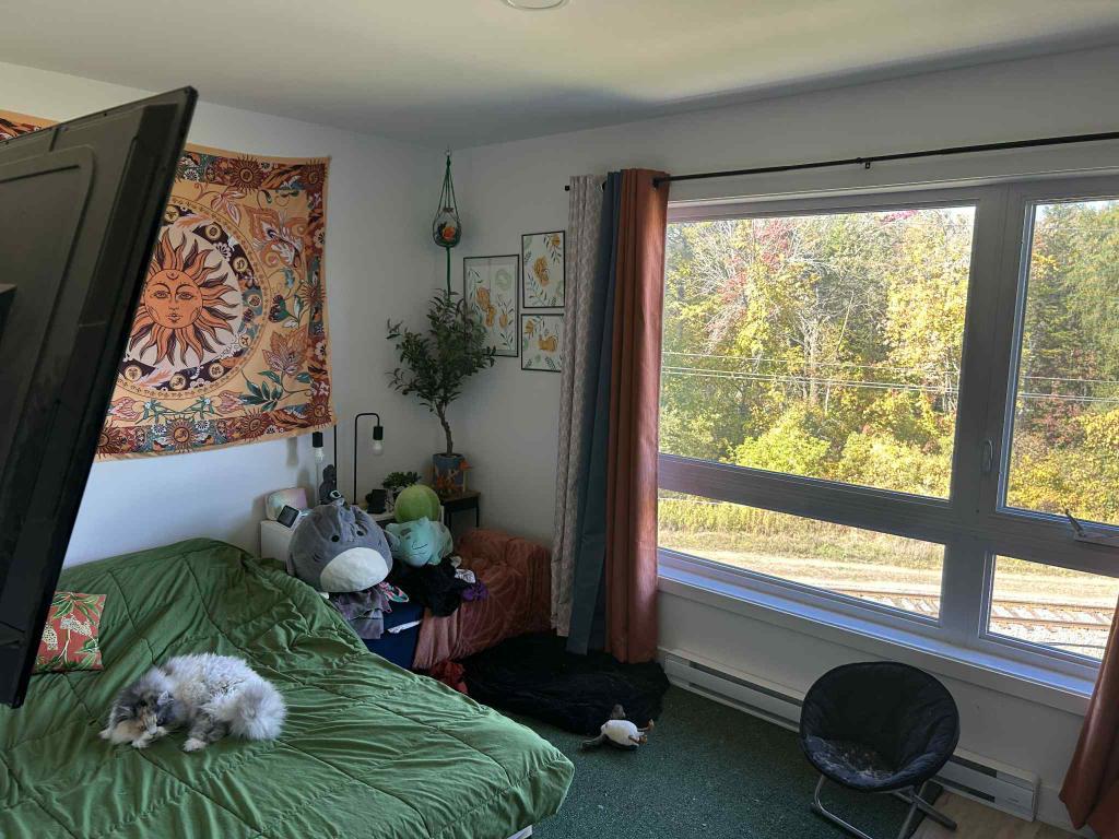 Appartement 5 1/2 | 3095952