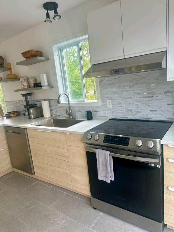 GRAND PPARTEMENT 4 1/2 SUR DEUX ÉTAGES | 3094144