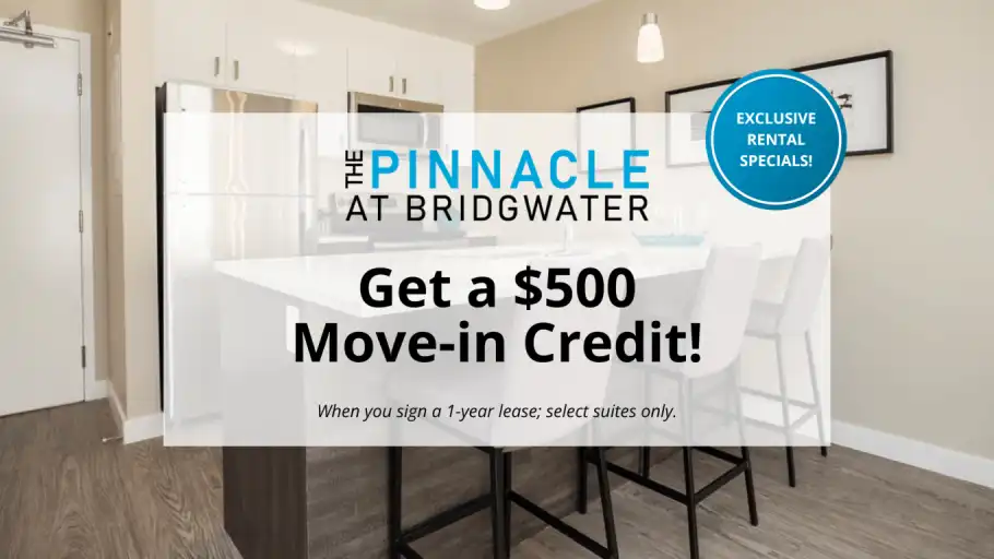 The Pinnacle at Bridgwater | 355 Bridge Lake Drive, Winnipeg | 3095903
