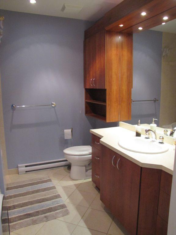 Grand 4 1/2 lumineux, bord de l'eau, solarium, St-Eustache rive-nord | 3095950