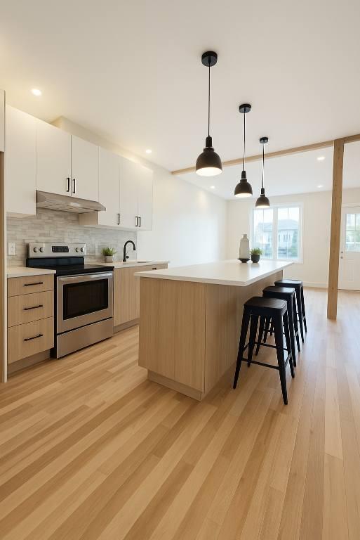 GRAND 4 1/2 Rénové-ELECTROS INCLUS-1996$ 1 MOIS GRATUIT VERDUN | 3096211