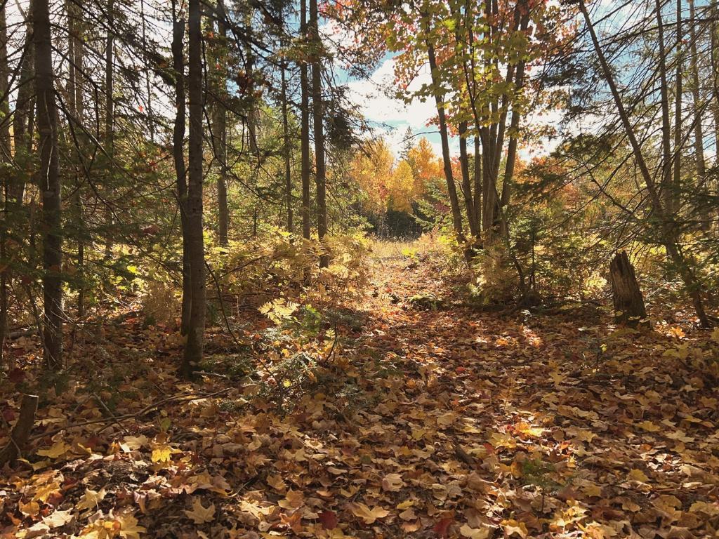 2 Terrains à Vendre à Petit-Saguenay | 3096468