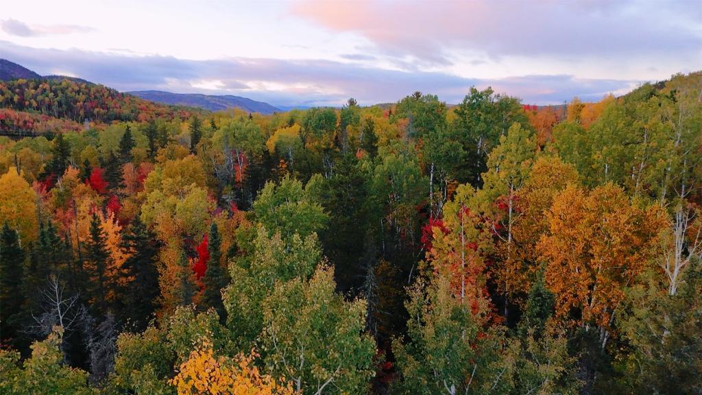 2 Terrains à Vendre à Petit-Saguenay | 3096468