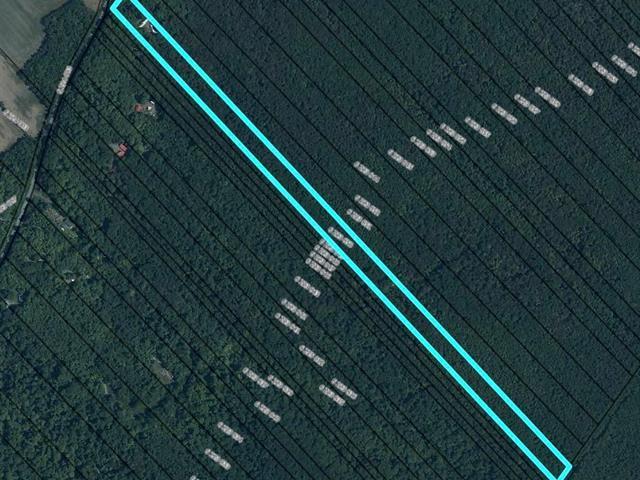 Terrain | 3096477