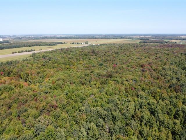 Notre-Dame-du-Bon-Conseil (Centre-du-Québec) : Terre à bois | 3098232