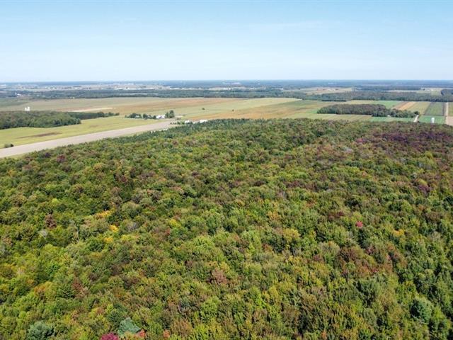 Notre-Dame-du-Bon-Conseil (Centre-du-Québec) : Terre à bois | 3098232