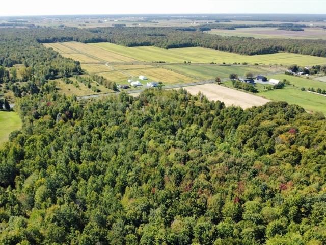 Notre-Dame-du-Bon-Conseil (Centre-du-Québec) : Terre à bois | 3098232