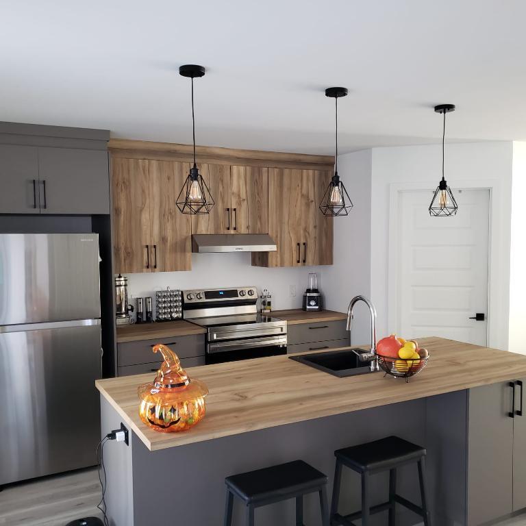 Appart, style CONDO, avec garage à louer | 3097558