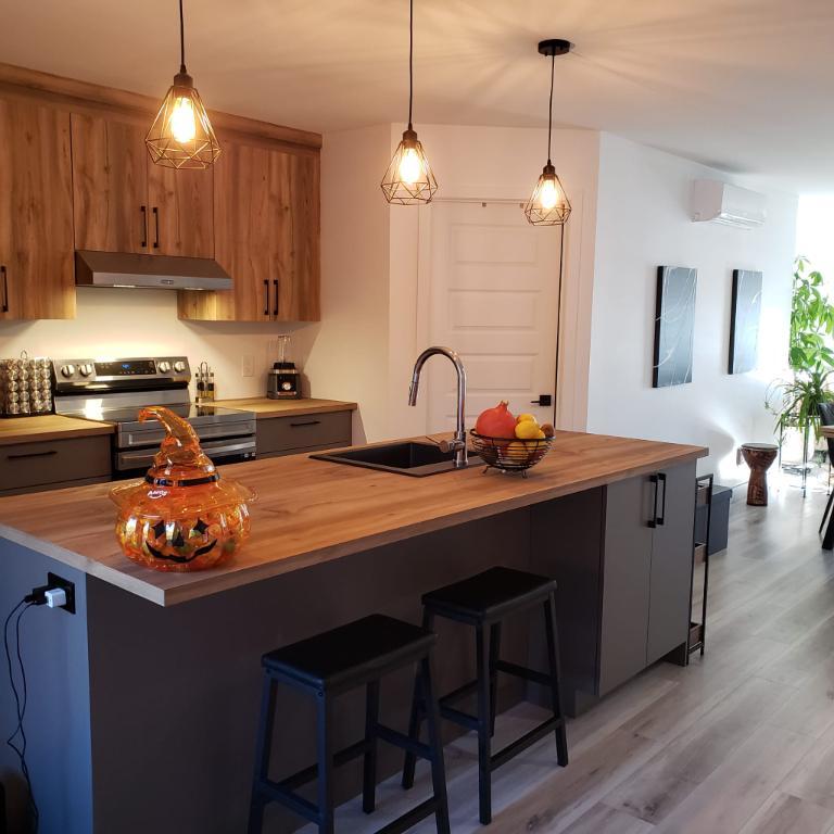 Appart, style CONDO, avec garage à louer | 3097558