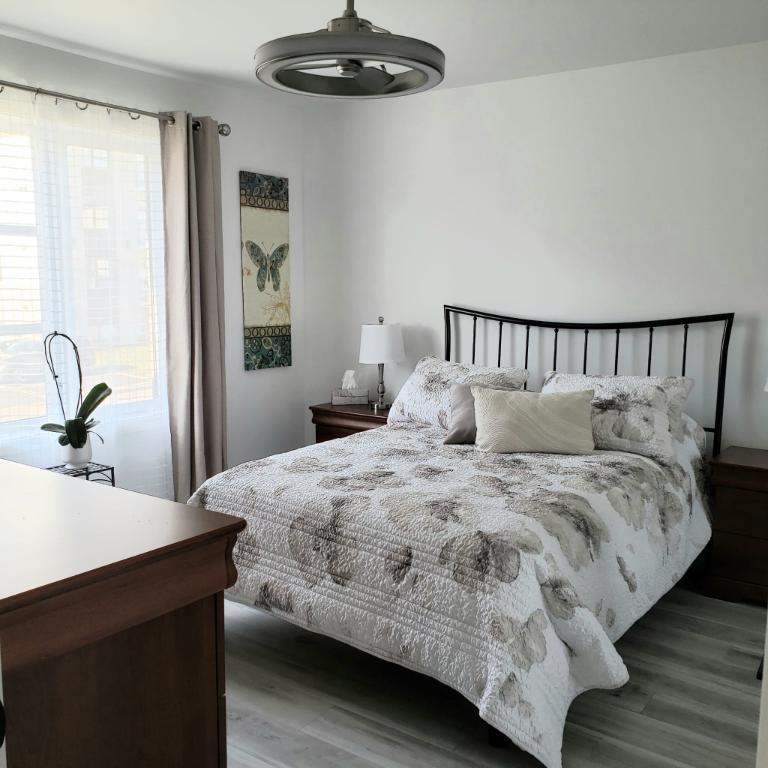 Appart, style CONDO, avec garage à louer | 3097558