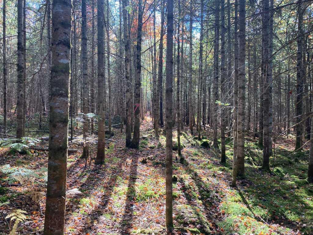 Terrains près du Mont Adstock | 3098225