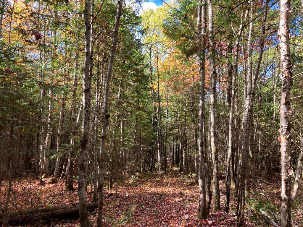 Terrains près du Mont Adstock | 3098225