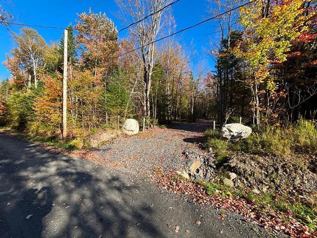 Petit Lac Lambton, Lambton en Estrie. Magnifique terrain boisé de 43 056 pi² situé en 2e rangée, idéal pour réaliser votre projet de construction. | 3100449