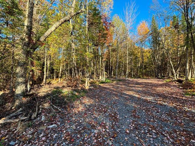 Petit Lac Lambton, Lambton en Estrie. Magnifique terrain boisé de 43 056 pi² situé en 2e rangée, idéal pour réaliser votre projet de construction. | 3100449