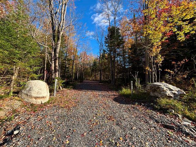 Petit Lac Lambton, Lambton en Estrie. Magnifique terrain boisé de 43 056 pi² situé en 2e rangée, idéal pour réaliser votre projet de construction. | 3100449