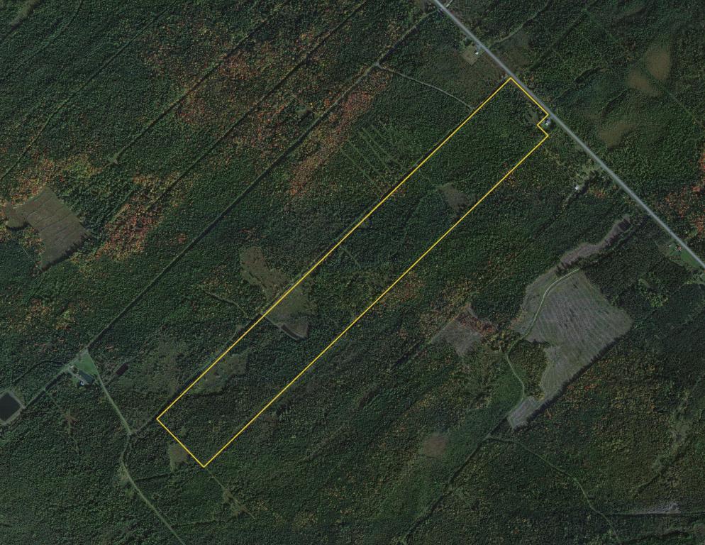 Terre à bois de 123 acres | 3098231