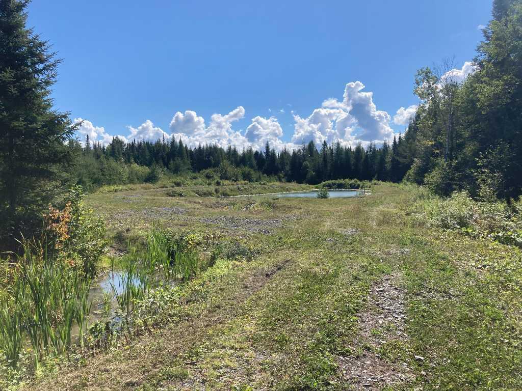 Terre à bois de 123 acres | 3098231