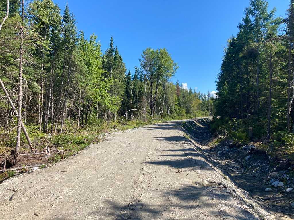 Terre à bois de 123 acres | 3098231