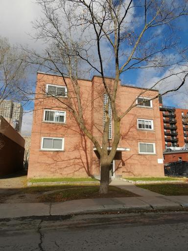 161 Somerset Street West - 6 | 161 Somerset Street West -, Ottawa | 3099045