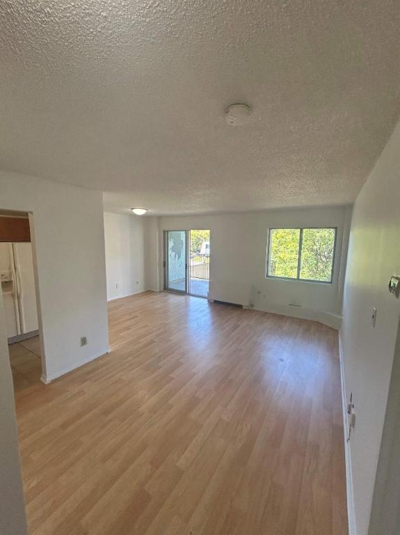 1 CH - 1 SDB - Côte Saint-Luc - $1,345 /mo | 3099598