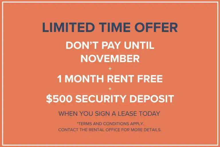 Dolphin Square Apartments | 8200 Park Road, Richmond | 3099788