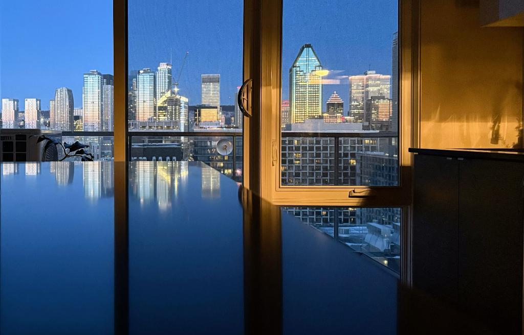 Looking for the best city view? This is it. 4.5 in Griffintown | 3100070