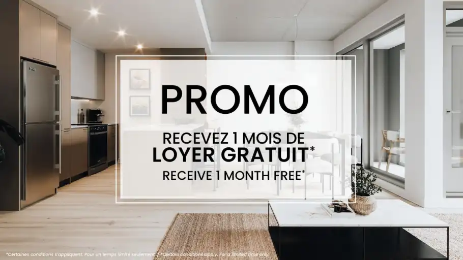 LAURENCE Rental Condos Locatifs | 240 Rue Notre-Dame O, Montreal | 3100080