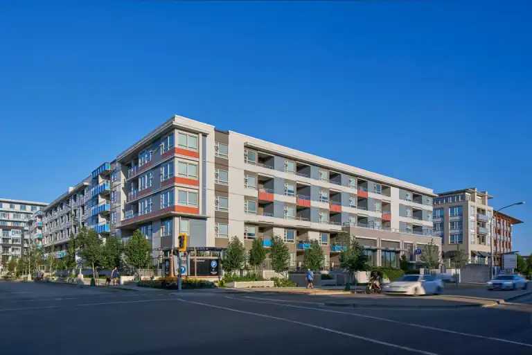 Camellia | 10820 No. 5 Road, Richmond | 3100272
