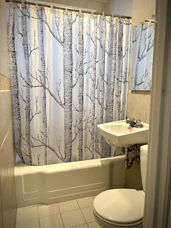 3 1/2 - Montréal (La Petite-Patrie) - 1 490 $/mois | 3100708
