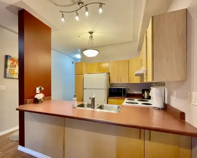 Fully furnished 2 Bedroom condo in Downtown | 203 - 10707 102 Ave, Edmonton | 3100889