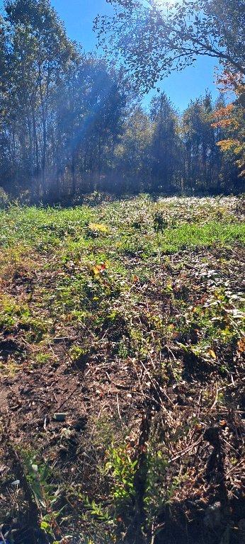 terrain a val alain de 30000 pied carre | 3101197