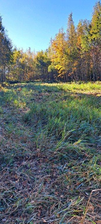 terrain a val alain de 30000 pied carre | 3101197