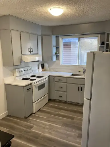 Beautiful 7 Bedroom 3.5 bathroom home for Rent | 9732 81 Avenue Northwest, Edmonton | 3101316