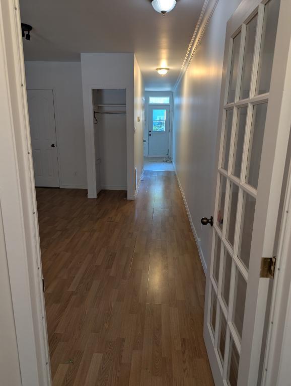 3 1/2 rez-de-chaussée libre maintenant | 3101705