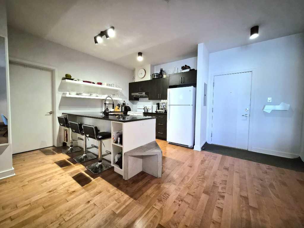 4 1/2 Condo à louer avec garage - Hochelaga-Maisonneuve (HoMa) | 3102128