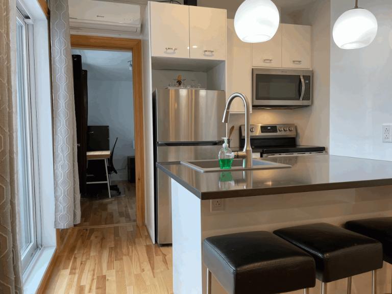 5 1/2 - Montréal (Le Plateau Mont-Royal) - 2 880 $/mois | 3102138