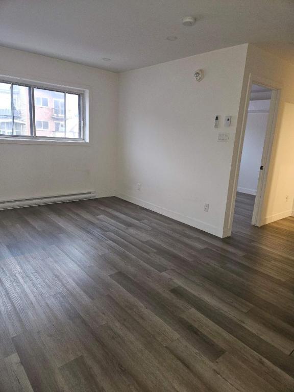 1 CH - 1 SDB - Montréal - $1,350 /mo | 3107018