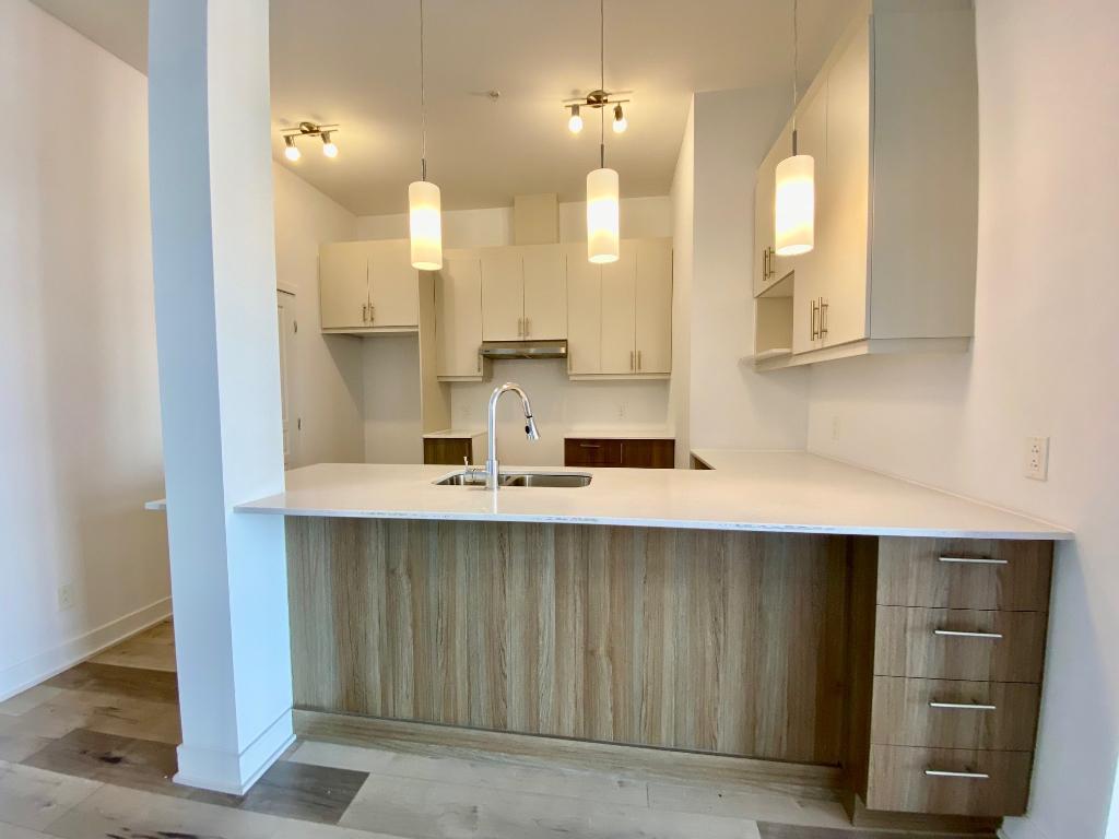 Longueuil 4 1/2 spacieux 1051 pi ca | 3108845