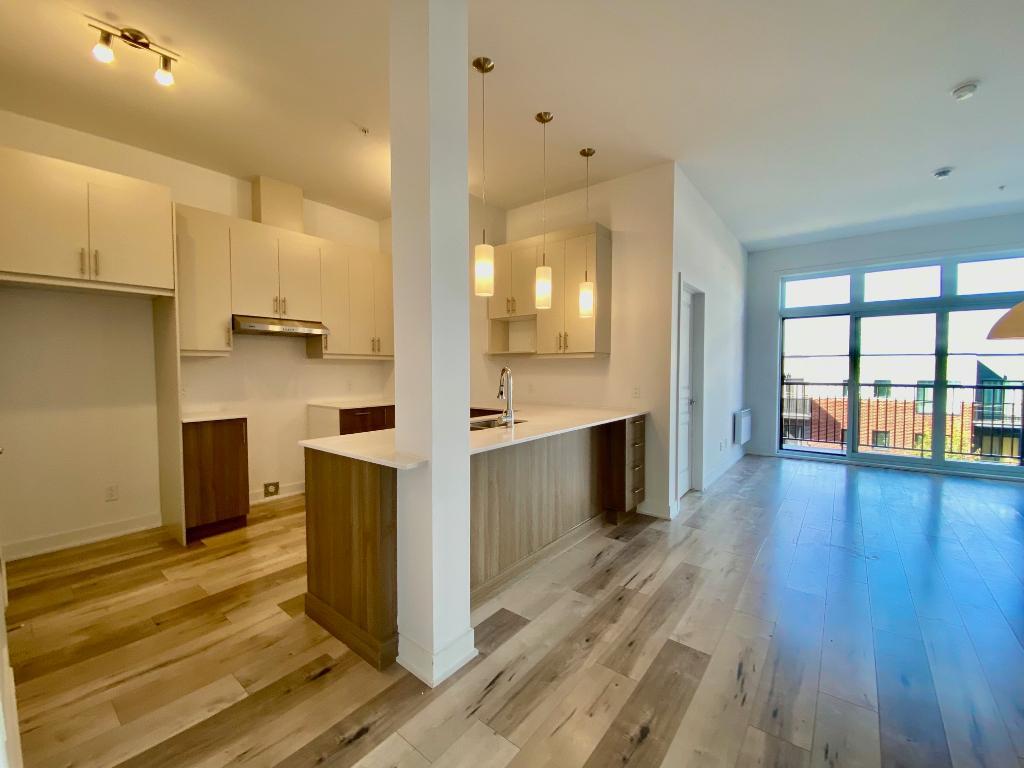 Longueuil 4 1/2 spacieux 1051 pi ca | 3108845