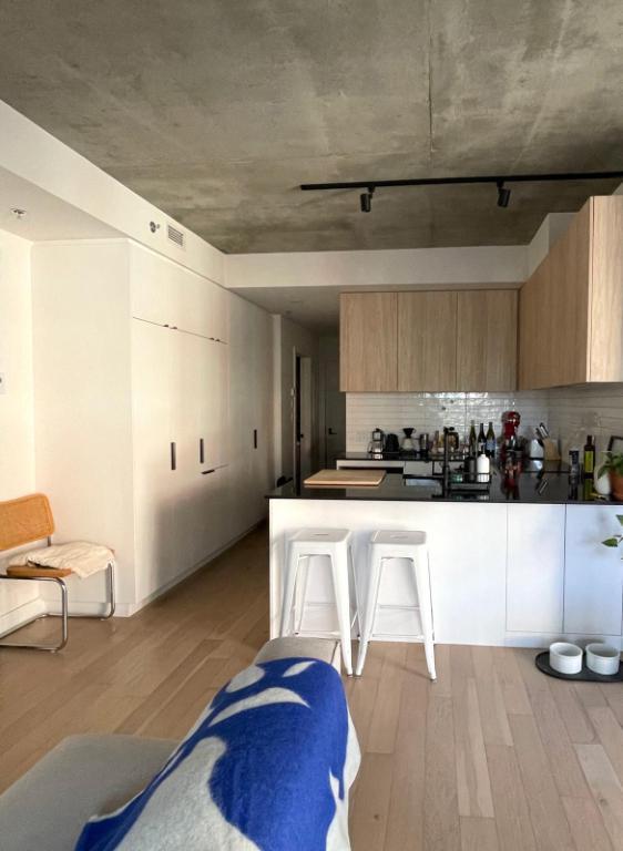 Cession de bail - Appartement 1 chambre + balcon et casier a Griffintown | 3108848