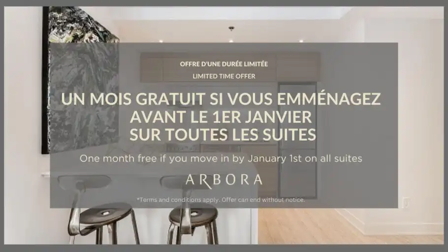Arbora | 305 Rue de la Montagne, Montreal | 3109388